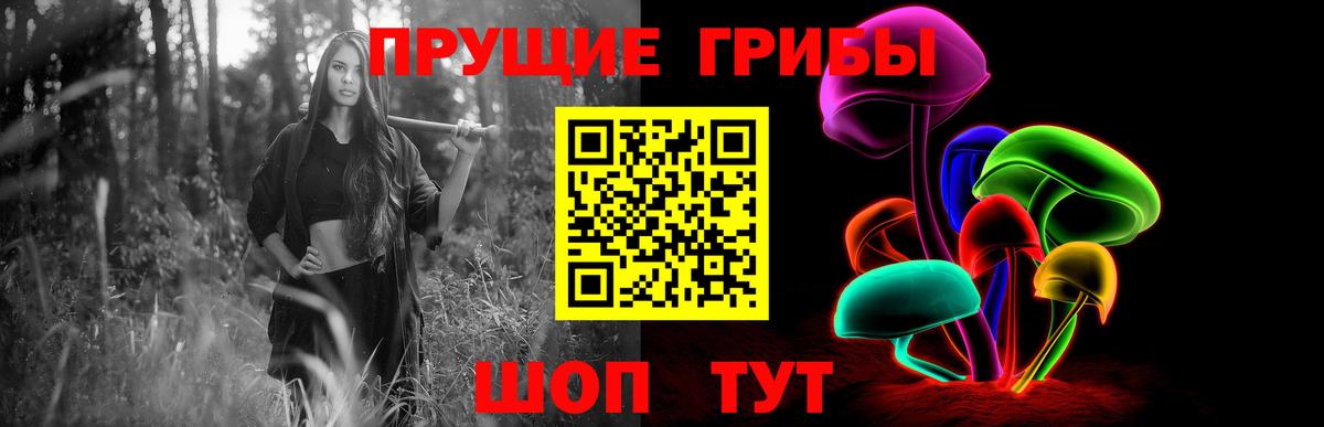 Димитровград  Галлюциногенные грибы Psilocybine cubensis  Вход с VPN 